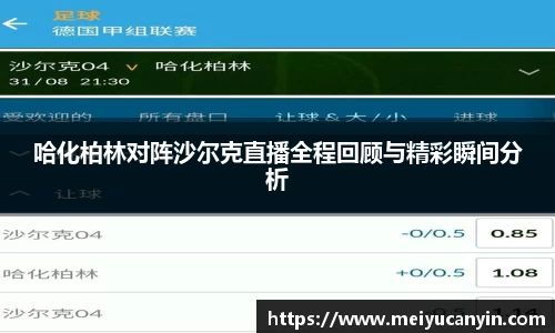 哈化柏林对阵沙尔克直播全程回顾与精彩瞬间分析